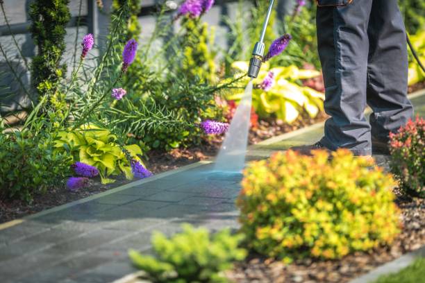 Best Spring Cleaning  in Ishpeng, MI