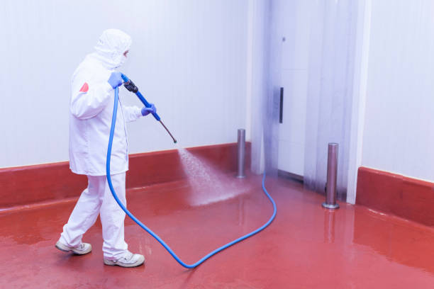 Best Paint Preparation  in Ishpeng, MI